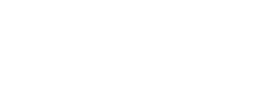 Simplitoo